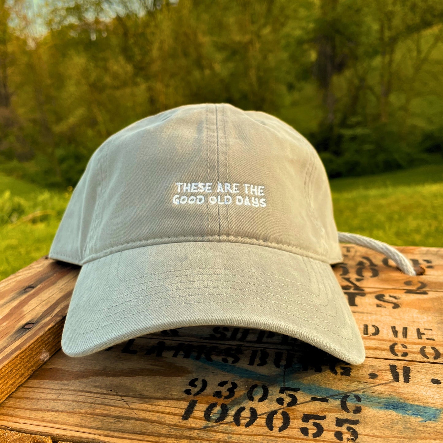Good Old Days - Dad Hat